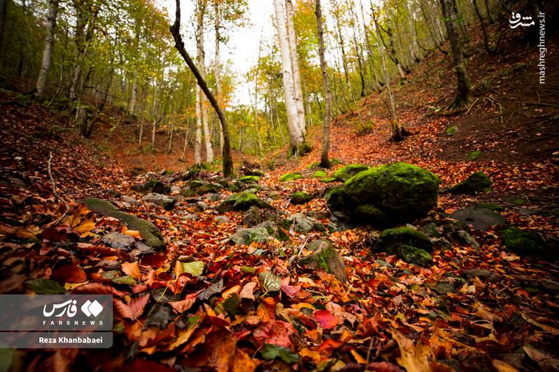 عکس / مسیر رویایی خلخال به اسالم 9