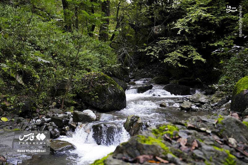 عکس / مسیر رویایی خلخال به اسالم 8