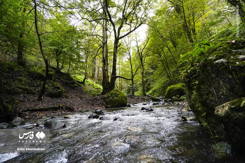 عکس / مسیر رویایی خلخال به اسالم 7