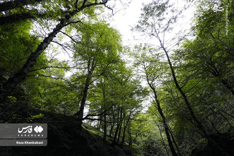 عکس / مسیر رویایی خلخال به اسالم 6