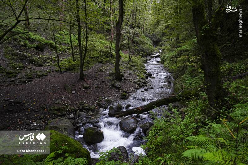 عکس / مسیر رویایی خلخال به اسالم 5