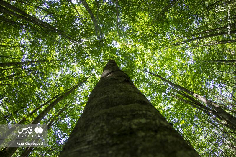 عکس / مسیر رویایی خلخال به اسالم 3