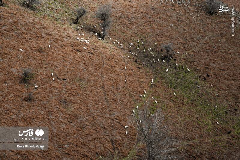 عکس / مسیر رویایی خلخال به اسالم 2