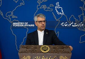 بقائی: در سفر تخت‌روانچی پیامی از آمریکا به ما منتقل نشده است