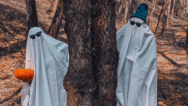 اجتماعي،گلستان،پليس،تورها،گردشگري،برگزاري،مناطق،امنيت،استان، ...