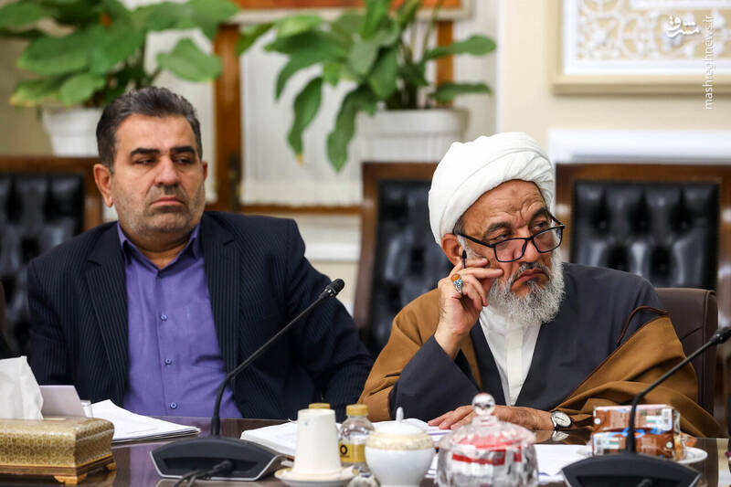 عکس / جلسه شورای هماهنگی مجلس با حضور قالیباف 6