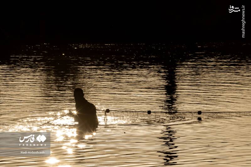 عکس / پرورش ماهی، مسیری برای آبادانی و اشتغال 18