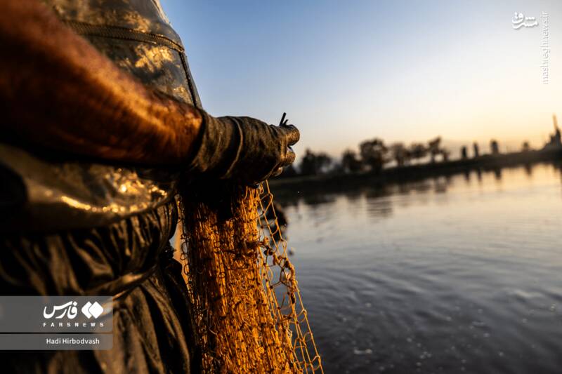 عکس / پرورش ماهی، مسیری برای آبادانی و اشتغال 7