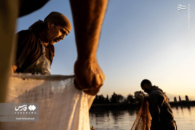 عکس / پرورش ماهی، مسیری برای آبادانی و اشتغال 17
