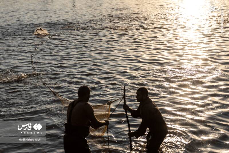عکس / پرورش ماهی، مسیری برای آبادانی و اشتغال 16