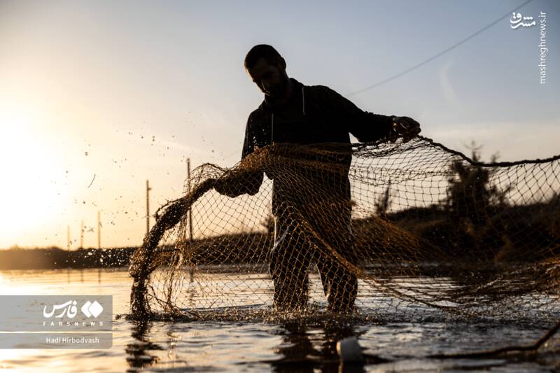 عکس / پرورش ماهی، مسیری برای آبادانی و اشتغال 14