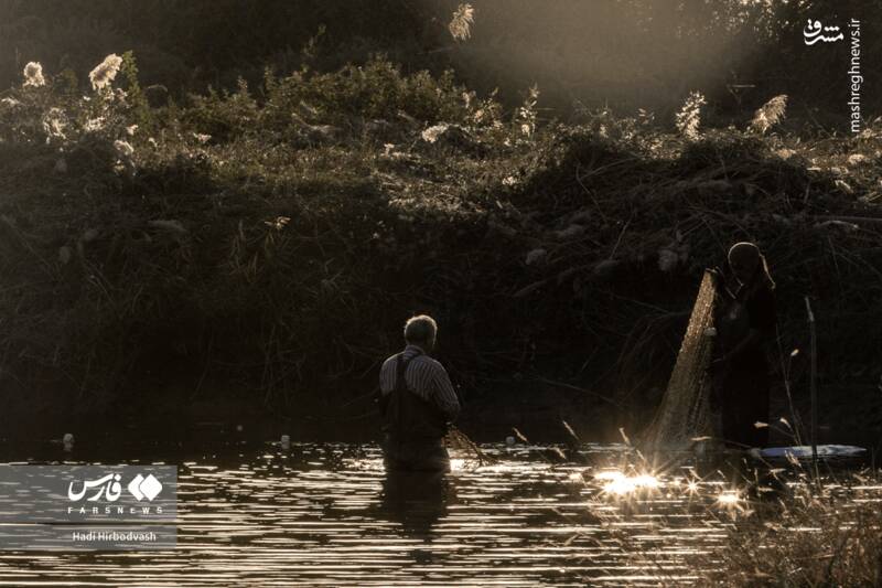 عکس / پرورش ماهی، مسیری برای آبادانی و اشتغال 13