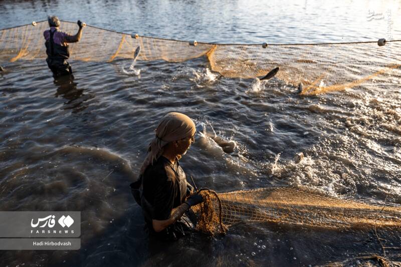 عکس / پرورش ماهی، مسیری برای آبادانی و اشتغال 9