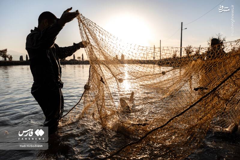 عکس / پرورش ماهی، مسیری برای آبادانی و اشتغال 5