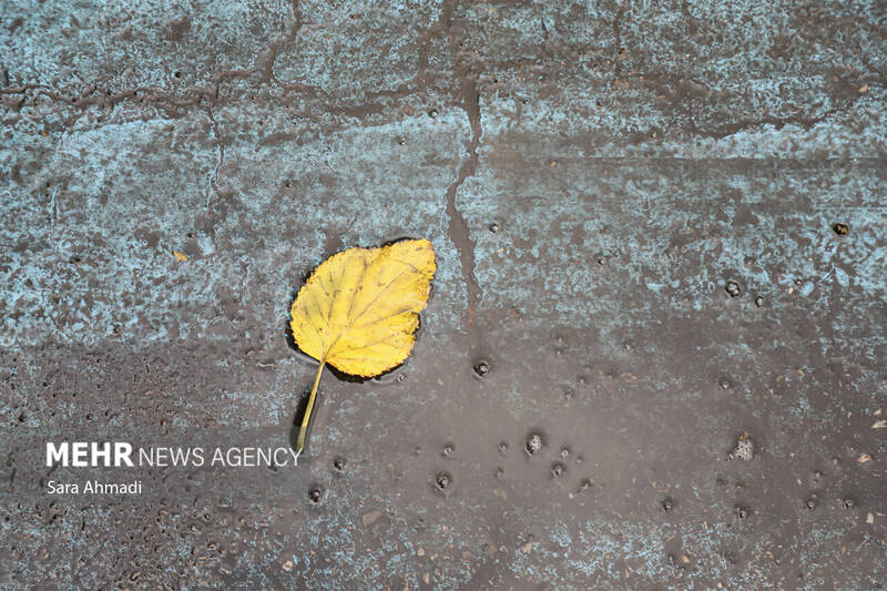 مشهد پس از باران