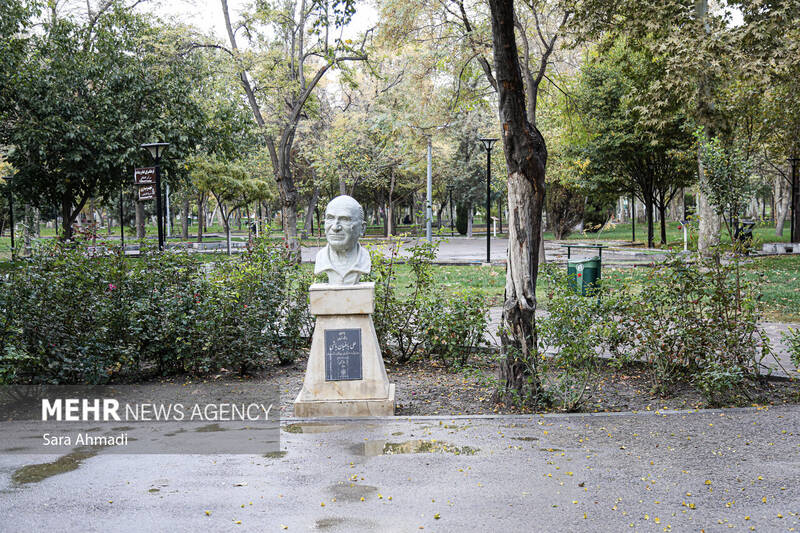 مشهد پس از باران