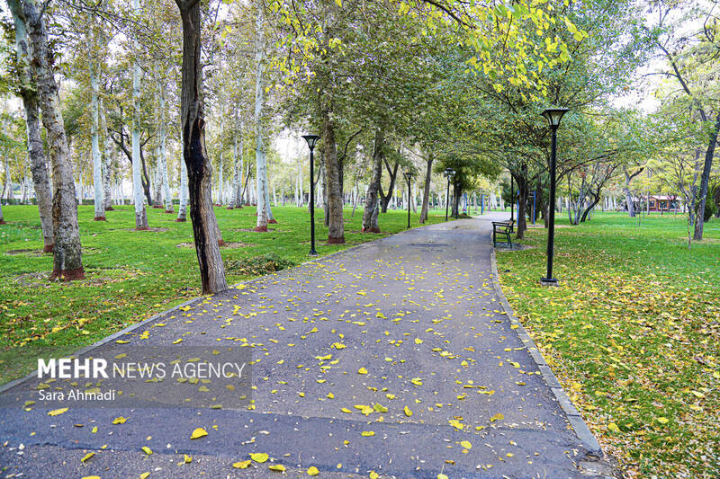 مشهد پس از باران