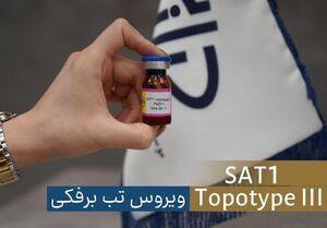 شناسایی سویه جدید ویروس تب‌برفکی SAT1 در تهران / واکسن به سرعت تولید شد