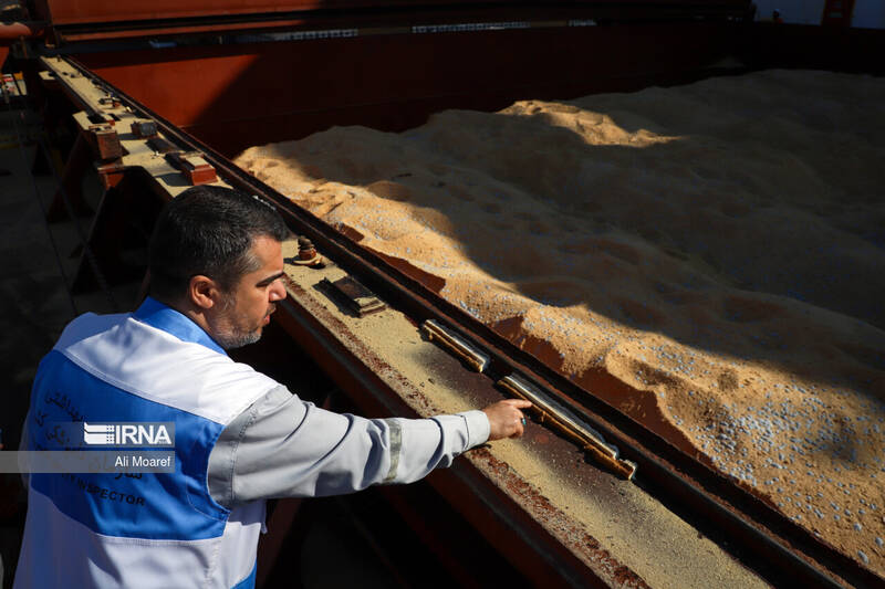 نهاده،سامانه،كشاورزي،عرضه،دام،دامي،سهميه،توليدكنندگان،جهاد،و ...