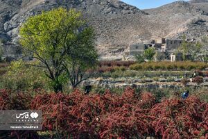 تصاویری زیبا از اصفهک در خراسان جنوبی