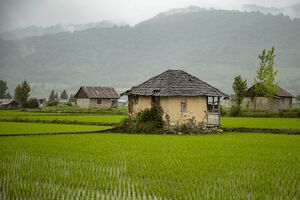 «مازندران» به روایت تصویر