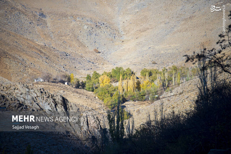 عکس / خزان هزار رنگ همدان 31