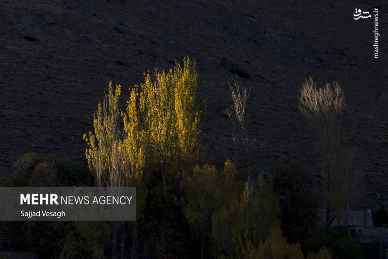 عکس / خزان هزار رنگ همدان 28