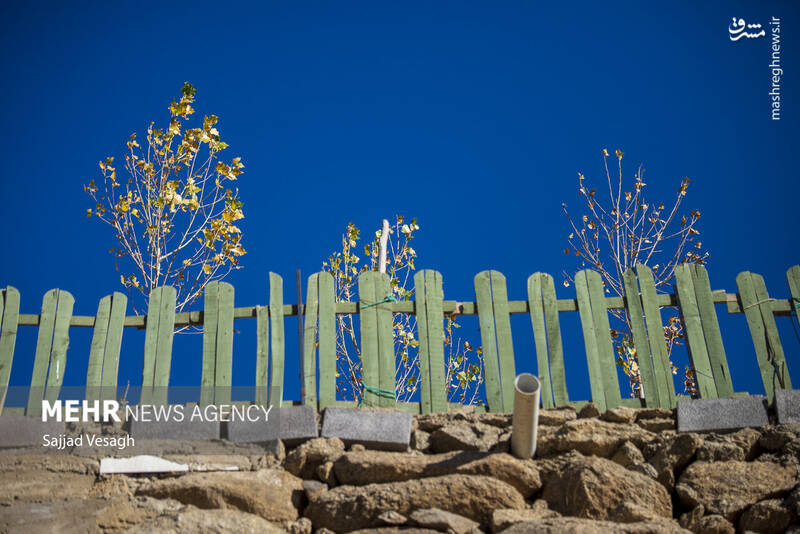 عکس / خزان هزار رنگ همدان 25