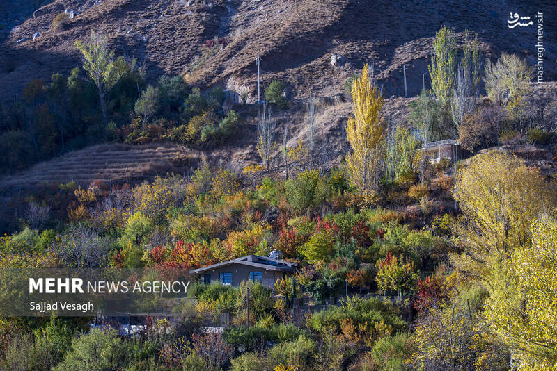 عکس / خزان هزار رنگ همدان 13