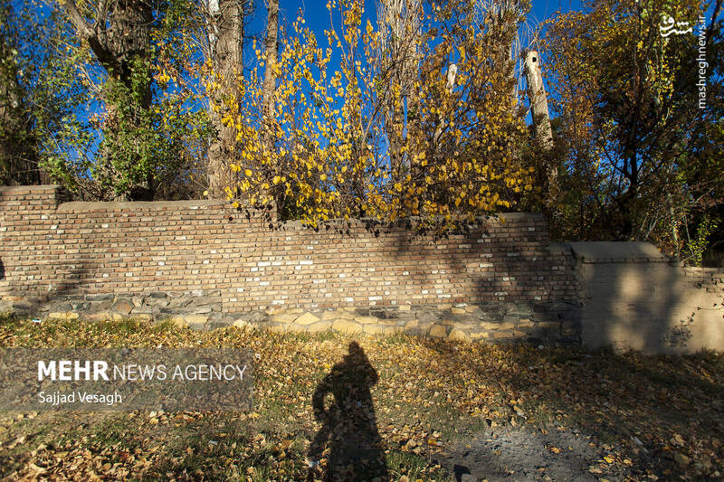 عکس / خزان هزار رنگ همدان 8