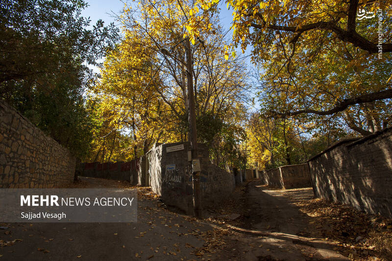 عکس / خزان هزار رنگ همدان 7