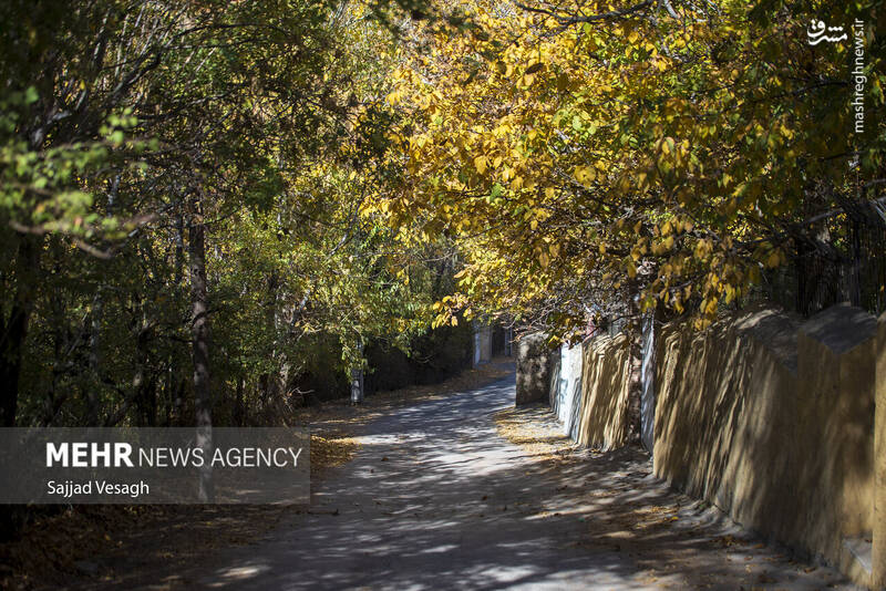 عکس / خزان هزار رنگ همدان 4