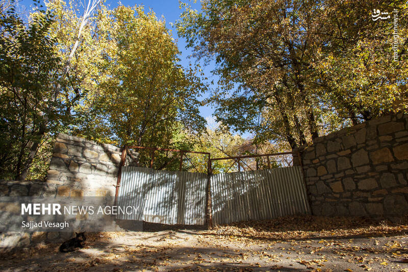 عکس / خزان هزار رنگ همدان 2