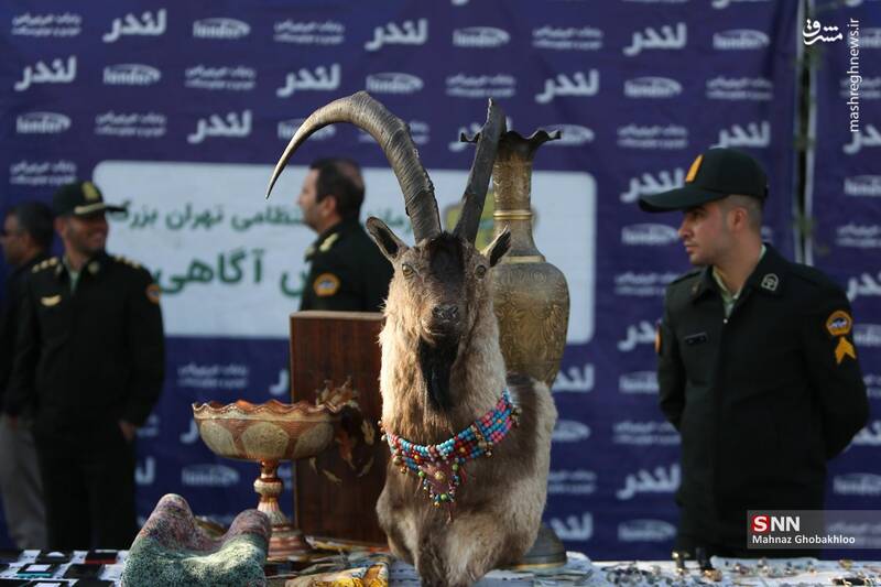 عکس / طرح دستگیری سارقان و مالخران پایتخت 34