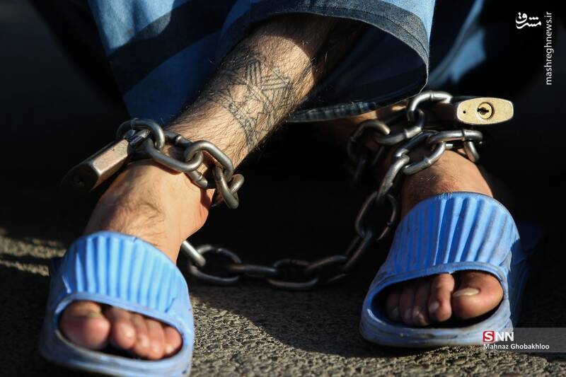 عکس / طرح دستگیری سارقان و مالخران پایتخت 33