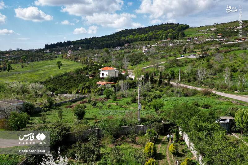 «مازندران» به روایت تصویر 22