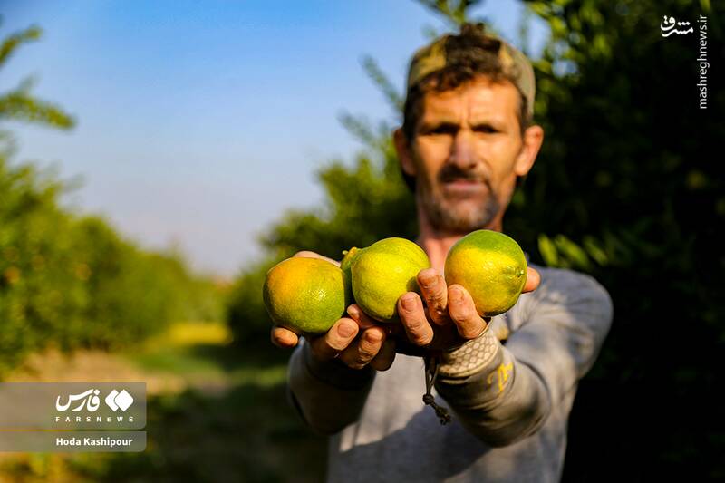 «مازندران» به روایت تصویر 17