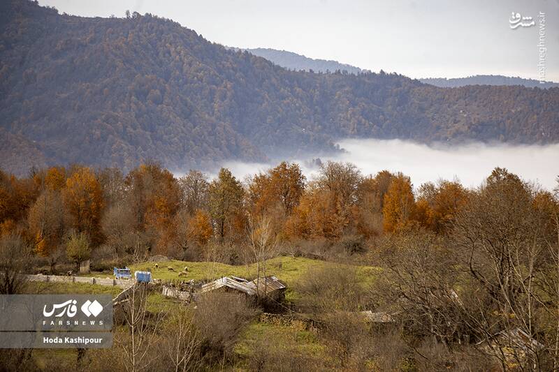 «مازندران» به روایت تصویر 13