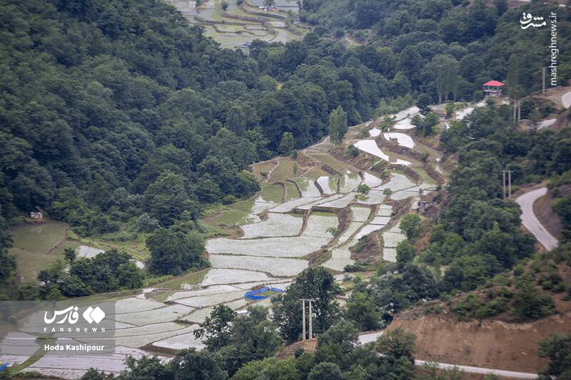 «مازندران» به روایت تصویر 12