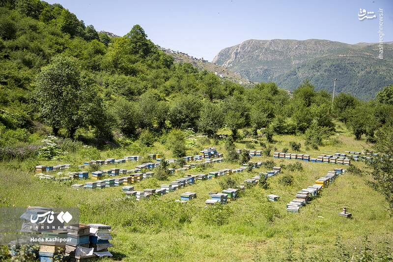 «مازندران» به روایت تصویر 9