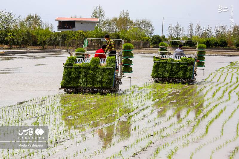 «مازندران» به روایت تصویر 5