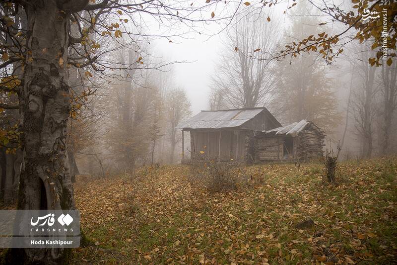 «مازندران» به روایت تصویر 4