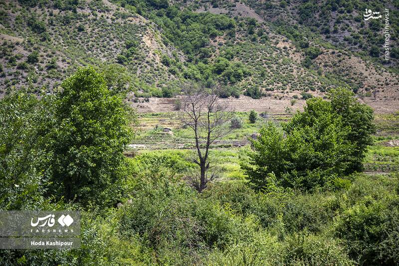 «مازندران» به روایت تصویر 2