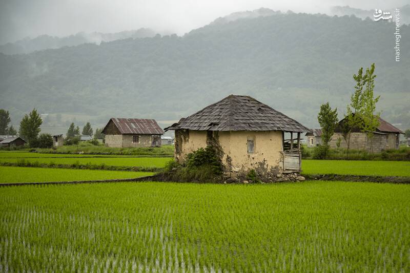 «مازندران» به روایت تصویر 10