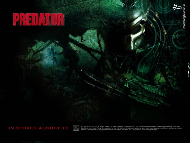 شکارچی تنها: چرا فرنچایز «غارتگر» در جهانسازی شکست خورد؟/ «از آرنولد تا انیمیشن؛ چرا هیچکس دیگر از شکارچیهای فضایی نمیترسد؟