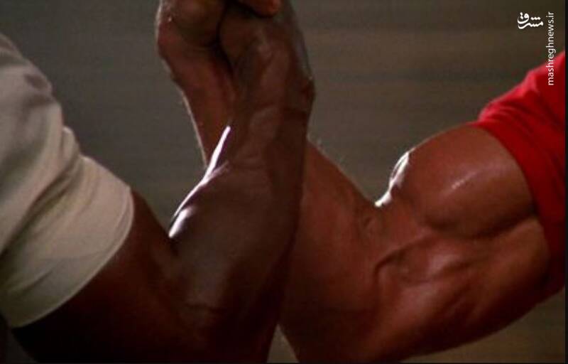 شکارچی تنها: چرا فرنچایز «غارتگر» در جهان‌سازی شکست خورد؟/ «از آرنولد تا انیمیشن؛ چرا هیچ‌کس دیگر از شکارچی‌های فضایی نمی‌ترسد؟