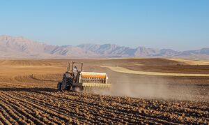 عکس/ آغاز کاشت گندم در لرستان