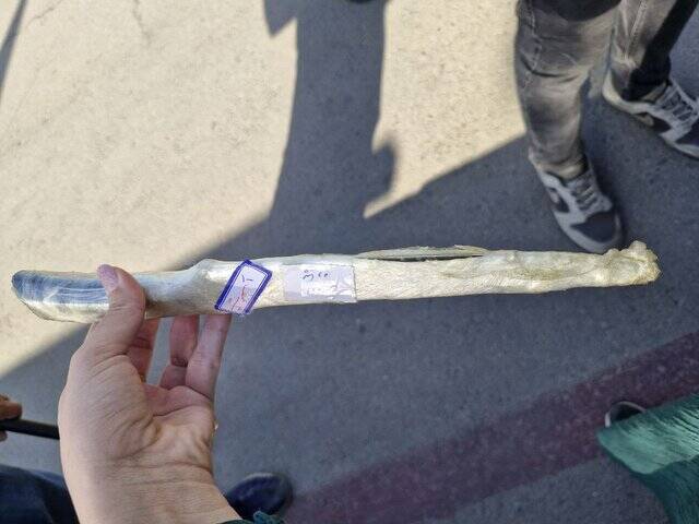 شگرد جدید زورگیران برای فرار از مجازاتهای سنگین