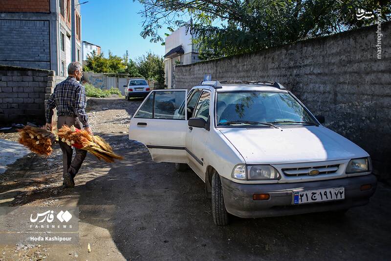 عکس / بابل شهر جاروبافی 22