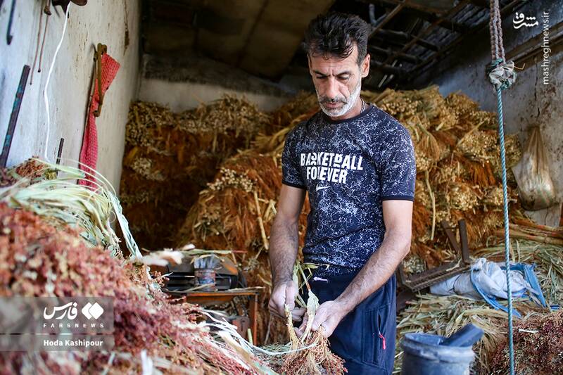 عکس / بابل شهر جاروبافی 11